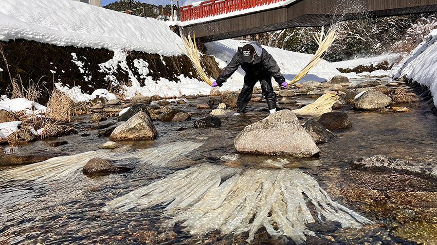 「杉原紙」の原料であるコウゾをさらす、川さらしの様子