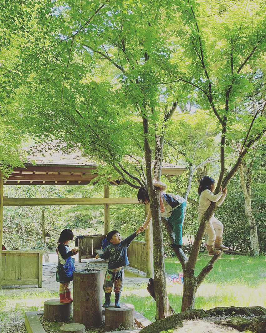 自然の中で遊ぶ子供たちの様子